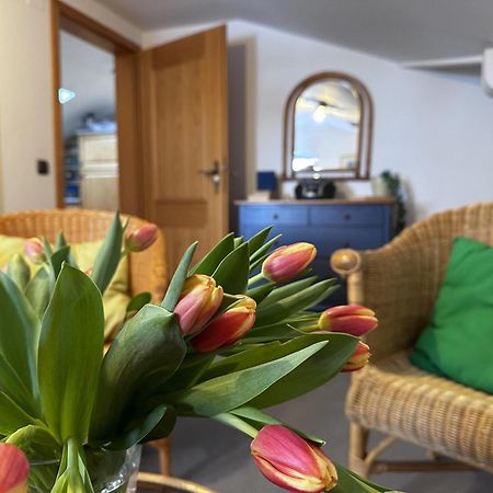 Berg & Tal Apartment Oberstaufen Ngoại thất bức ảnh
